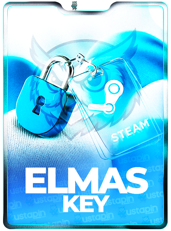 Steam Minimum 100$ Elmas Key