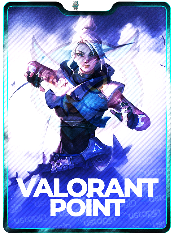 Valorant 2925 VP